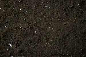 Soil
