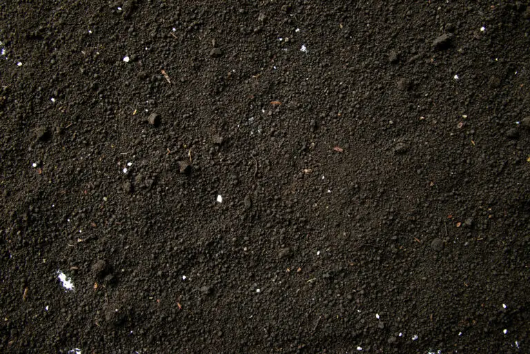 Soil